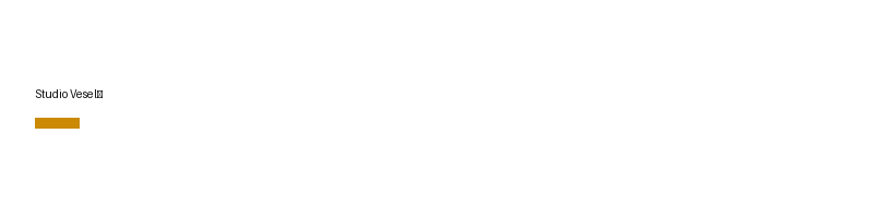 Studio Veselý logo